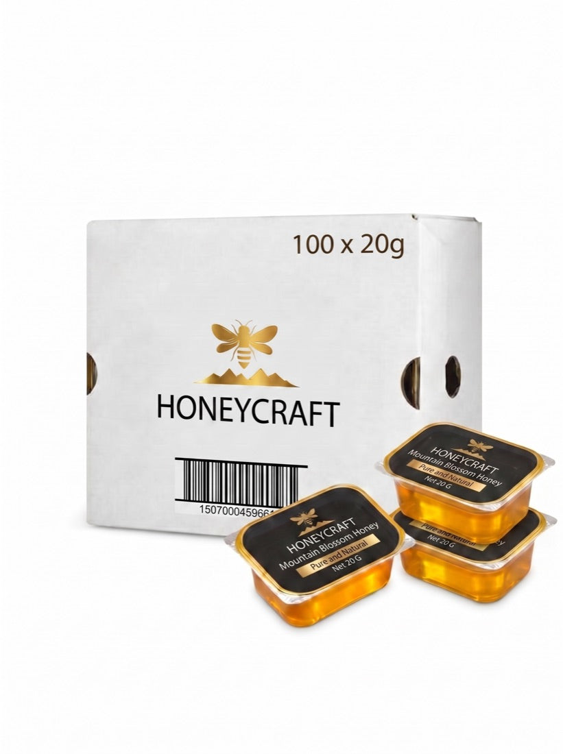 Honeycraft 20g mini pots, case of 100